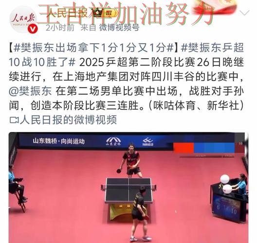 国乒绝杀取胜点燃全场气氛 球迷对表现评价两极分化